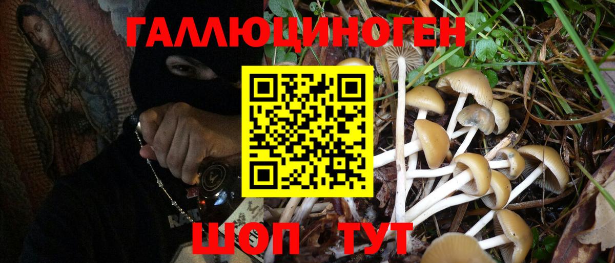 Галлюциногенные грибы Magic Shrooms  Вход с VPN  Отрадное  Галлюциногенные грибы Magic Shrooms 